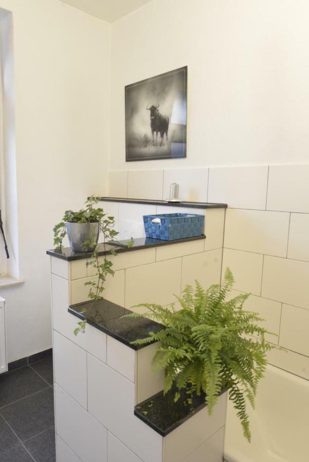Kaiserliche Hofpost, Mit Whirlpool Und 2 Terrassen ชไลเดิน ภายนอก รูปภาพ